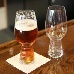 Spiegelau IPA Craft Beer Glasses - 19.1 Oz - 2 Pack - Designed With Dogfish Head & Sierra Nevada -PourLab Zone 177459 spiegelau ipa glasses b2 1 06533.1590765244