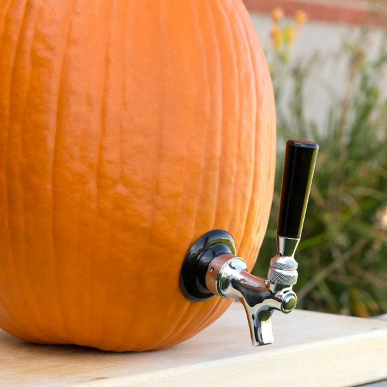 The Pumpkin Tap Kit 3 The Pumpkin Tap Kit