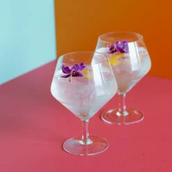Viski Raye Crystal Footed Gin & Tonic Glasses - 14 Oz - Set Of 2 -PourLab Zone 9418 002 76926.1590764815
