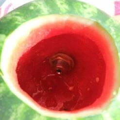 Watermelon Tap® - Deluxe Kit 10 Watermelon Tap® - Deluxe Kit -PourLab Zone fs kit faucet shank watermelon b4 3 34735.1590770476