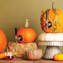 The Pumpkin Tap Kit 11 The Pumpkin Tap Kit -PourLab Zone pumpkin kit 001 74347.1590771871